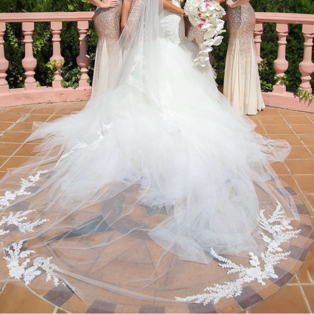 Pronovias Wedding Veil 50ft long
